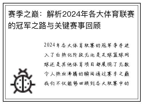 赛季之巅：解析2024年各大体育联赛的冠军之路与关键赛事回顾