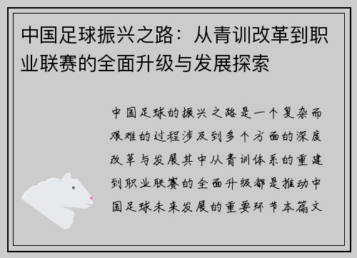 中国足球振兴之路：从青训改革到职业联赛的全面升级与发展探索