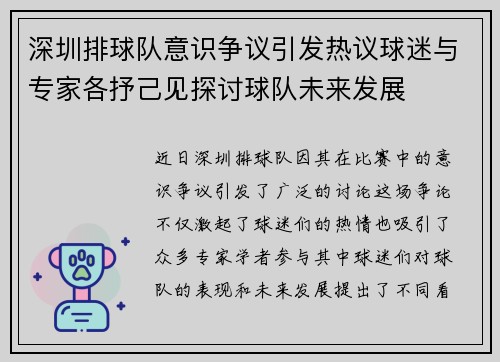 深圳排球队意识争议引发热议球迷与专家各抒己见探讨球队未来发展